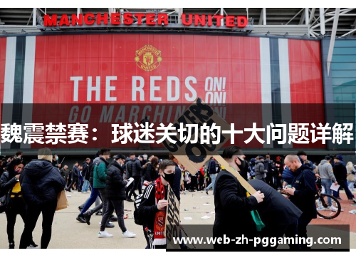 魏震禁赛：球迷关切的十大问题详解