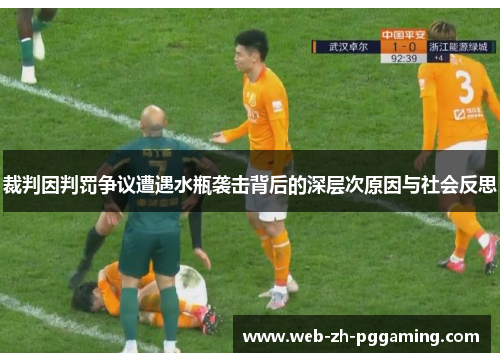 裁判因判罚争议遭遇水瓶袭击背后的深层次原因与社会反思