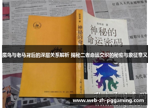 魔鸟与老马背后的深层关系解析 揭秘二者命运交织的秘密与象征意义 魔鸟与老马背后的深层关系解析 揭秘二者命运交织的秘密与象征意义